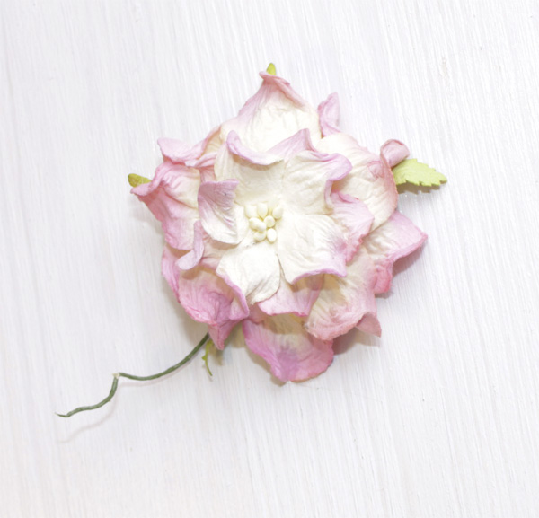 Гардения 7 см . Цвет ванильный с розовым.