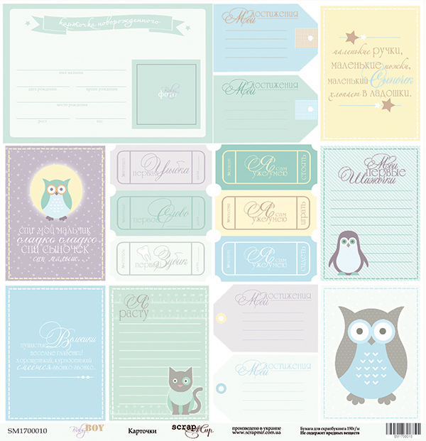 Бумага Scrapмир "Baby boy", карточки (SM96-1)