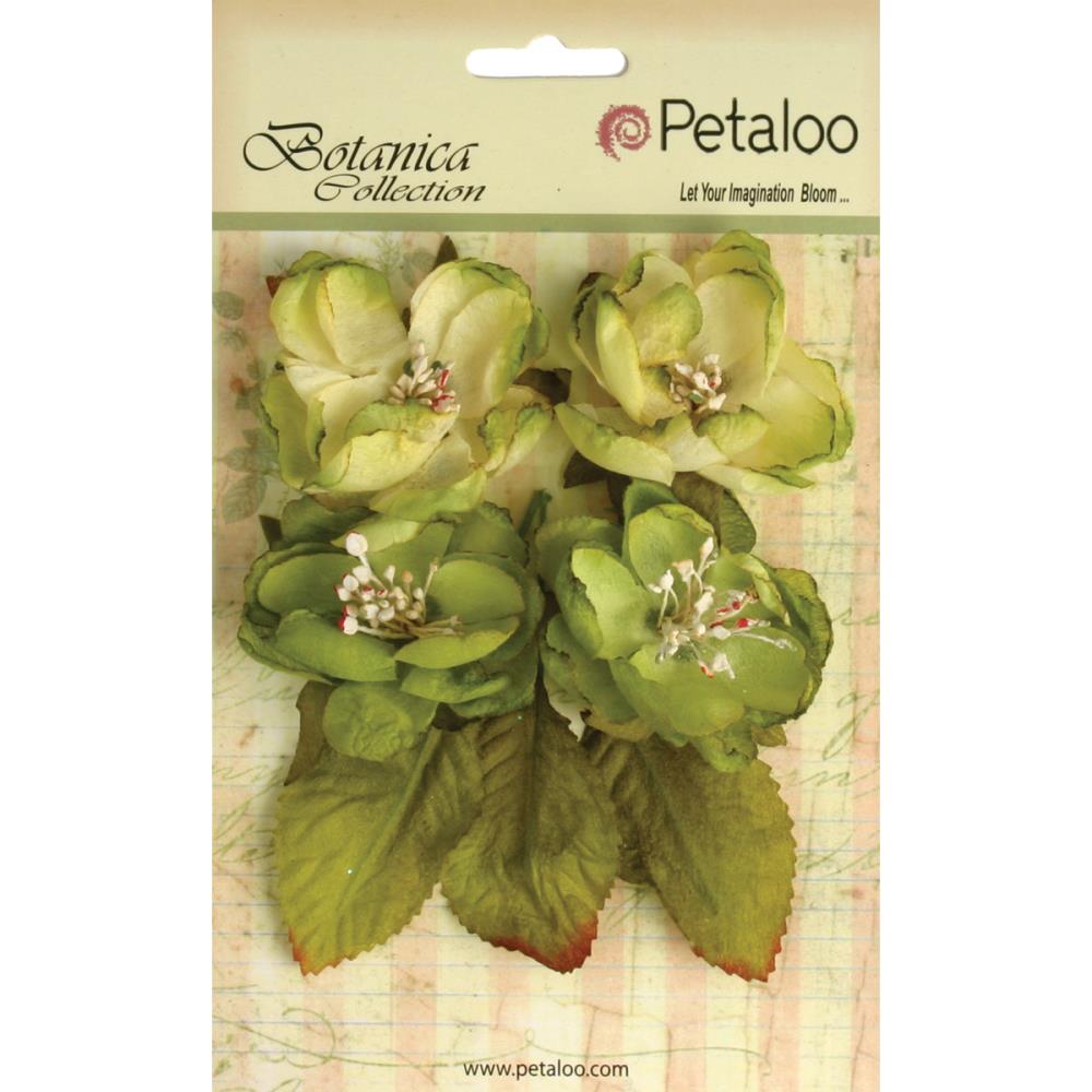 Набор цветов Petaloo "Botanica Blooms", фисташковый