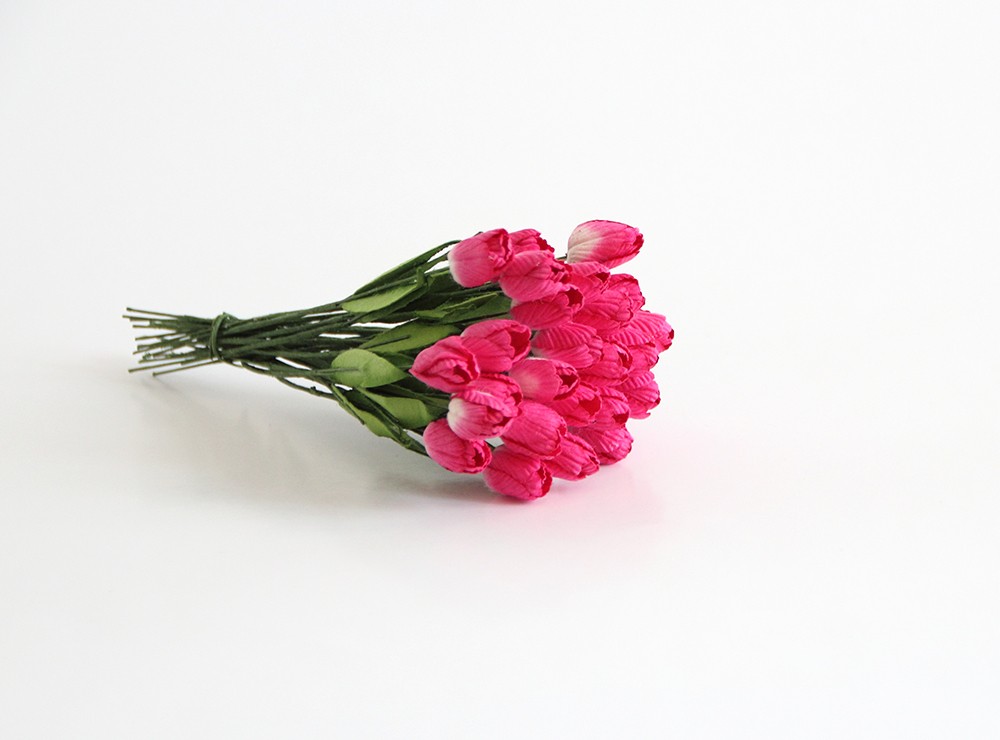 Тюльпан на стебельке, цвет фукия