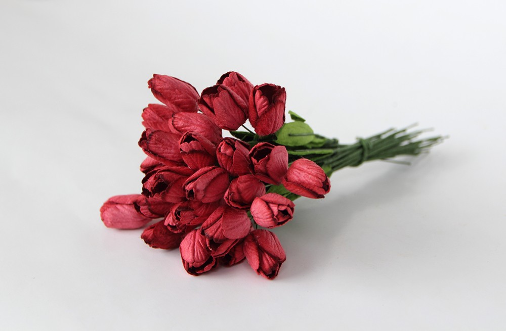 Тюльпан на стебельке, цвет винный