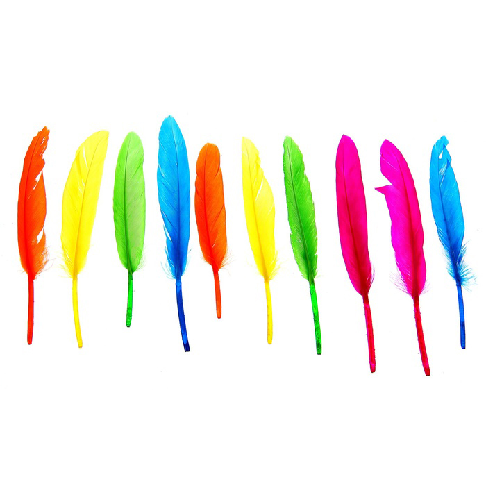 Набор перьев , цвета МИКС