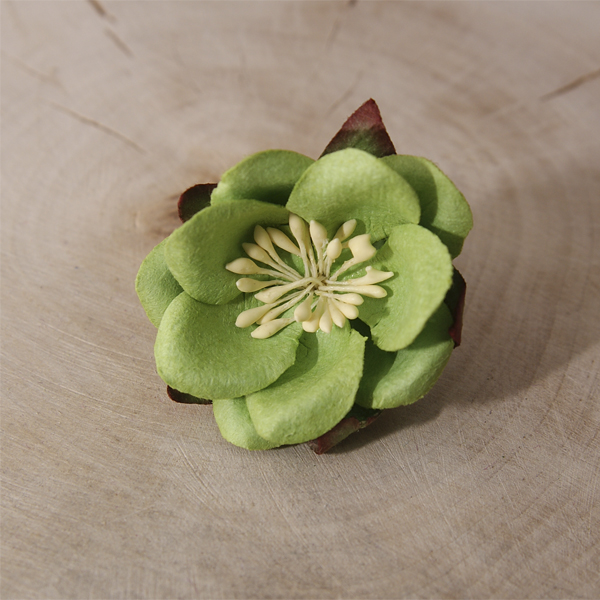 Цветок сакуры, цвет светло-зелёный, 1 шт