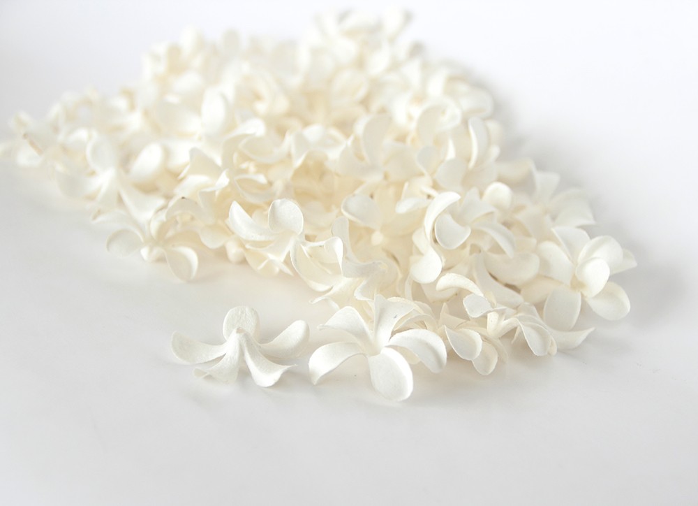 Цветок плюмерии, цвет белый, 1 шт