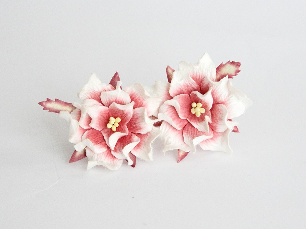 Гардения 5 см . Цвет белый с бордовым