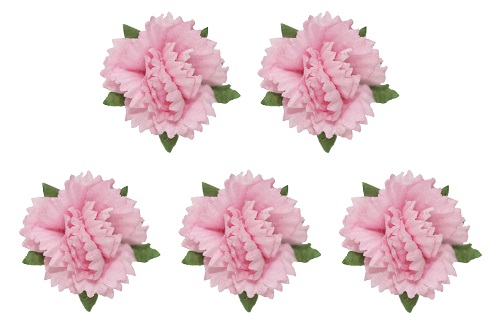 Набор гвоздик Scrapberrys, цвет нежно-розовый