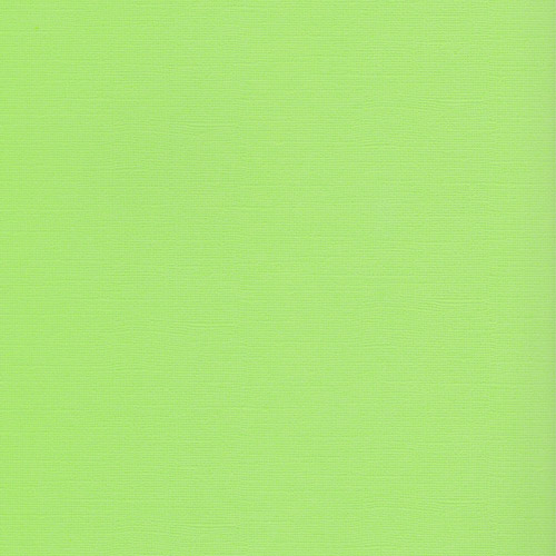 Фактурный картон Scrapberrys 30 х 30 см .Цвет Зеленая лужайка