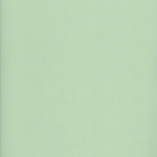 Фактурный картон Scrapberrys 30 х 30 см .Цвет Пастельно-зелёный