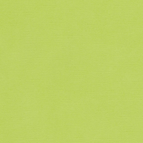 Фактурный картон Scrapberrys 30 х 30 см .Цвет Салатовый
