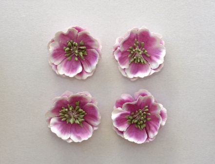 Цветы анемоны Scrapberrys, нежно-сиреневые