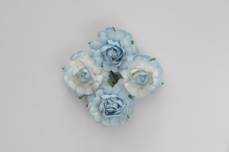 Цветы розы Scrapberrys, голубые и бело-голубые