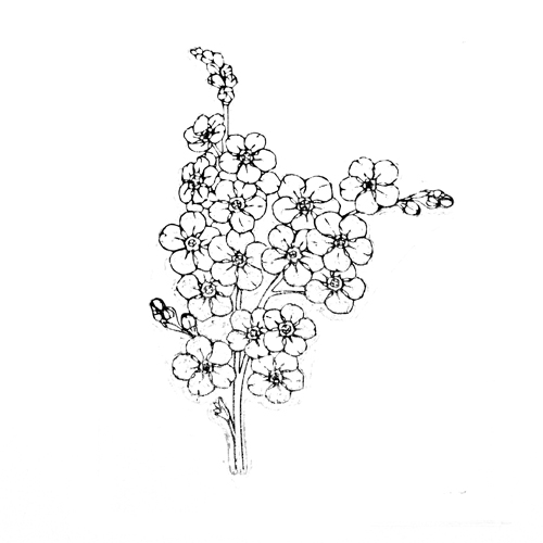 Штамп Stylish Stamps "Веточка с цветами средняя"