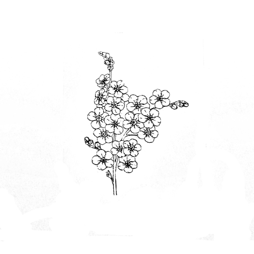 Штамп Stylish Stamps "Веточка с цветами малая"