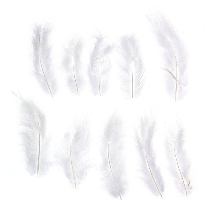 Набор перьев , цвет белый