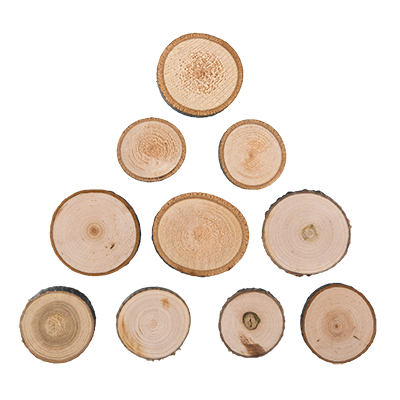 Деревянные срезы 3-4 см, 10 штук