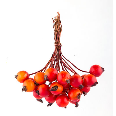 Букет ягодок MrPainter "Красно-оранжевый"