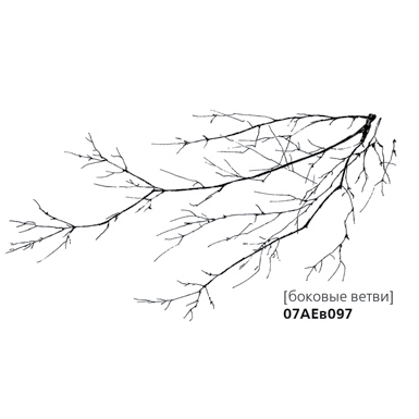 Штамп "Боковые ветви"