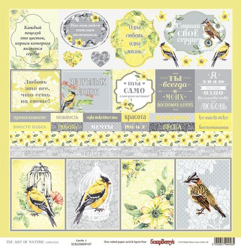 Бумага Scrapberrys " Разрисованная Вуаль", Карточки 1 (SB673)