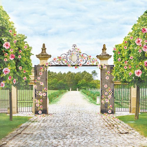 Бумага Scrapberrys "Цветущий Сад ", Прогулка в саду, (SB688)