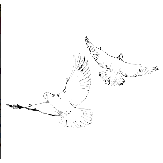 Штамп "Голуби в полёте"