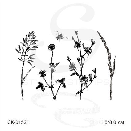 Штамп Stylish Stamps "Набор трав с цикорием"