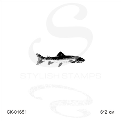 Штамп Stylish Stamps "Якутский голец (рыба)"