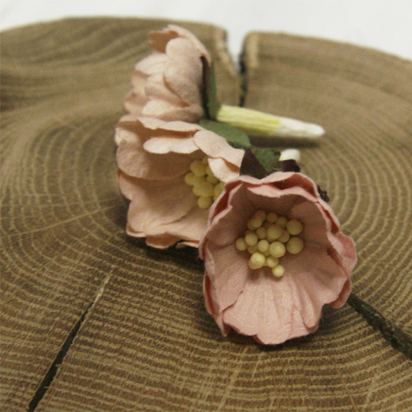 Цветок шиповника, цвет бледный персиковый 1 шт