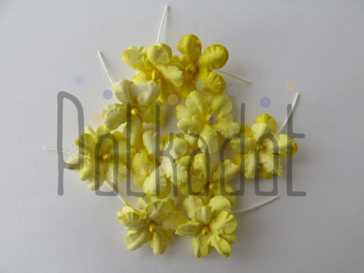 Бумажные цветы Polkadot "Незабудки жёлтые"