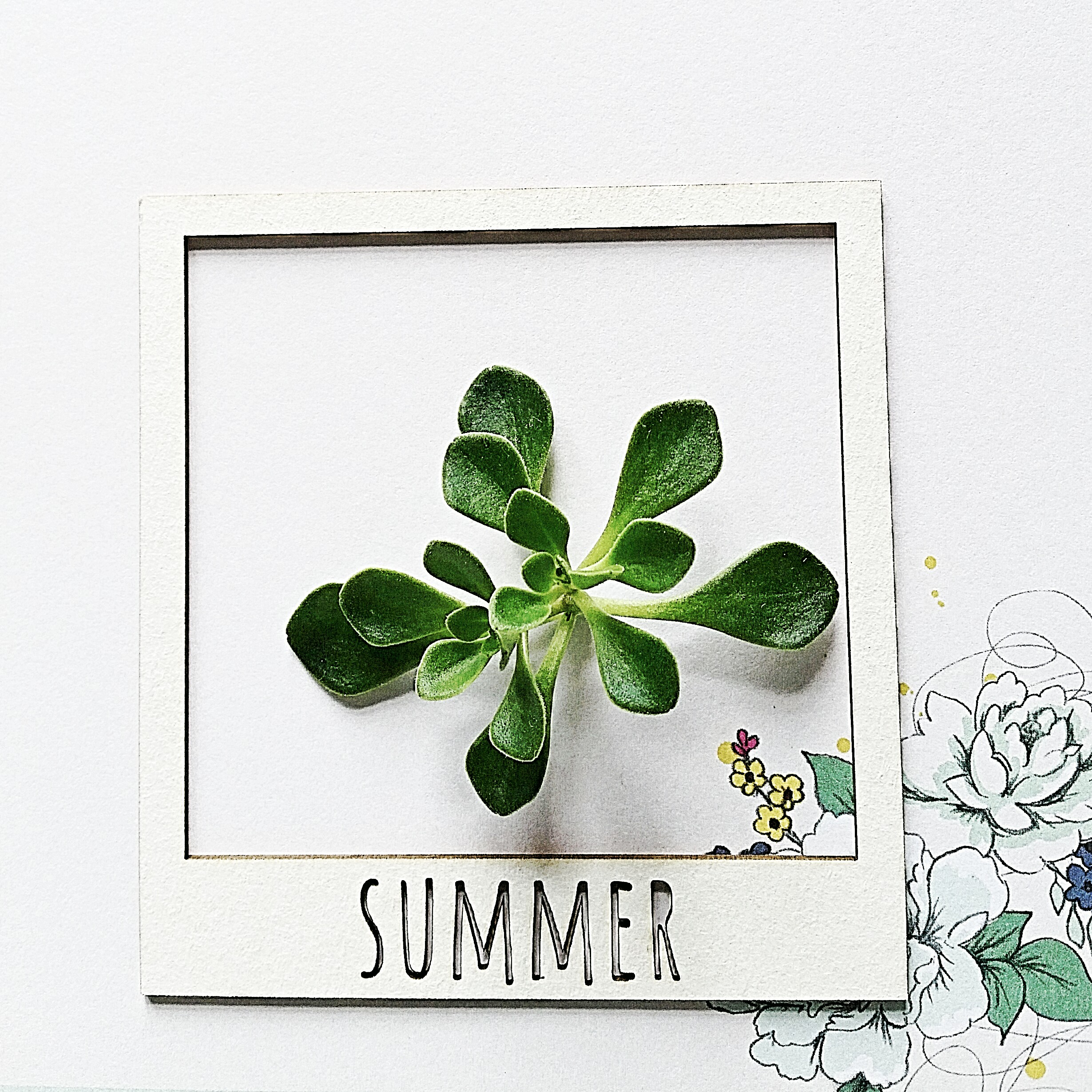 Чипборд WoodCraft "Полароид Summer"