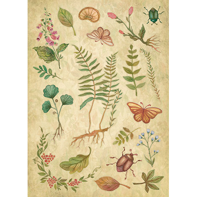 Бумага MrPainter для вырезания "Ботаника", (160107)