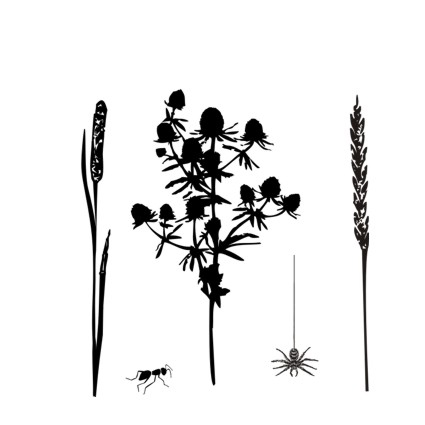 Штамп Stylish Stamps "Полевые травы "Аржанец"