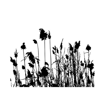 Штамп Stylish Stamps "Камыши № 03"