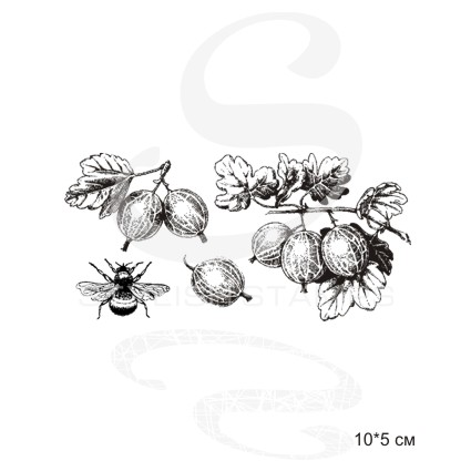 Штамп Stylish Stamps "Крыжовник"