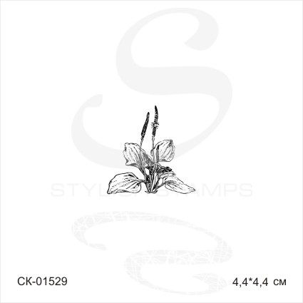 Штамп Stylish Stamps "Подорожник"