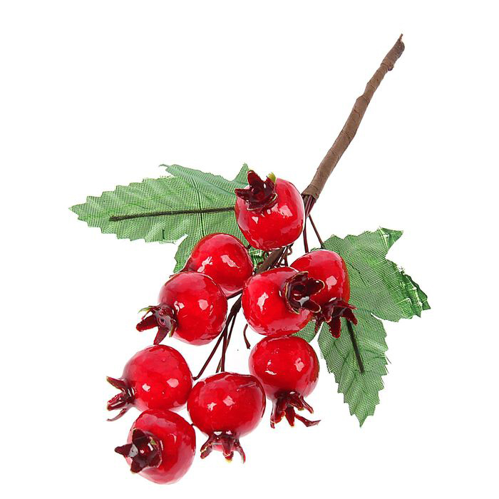 Веточка шиповника Артузор ,9 ягод