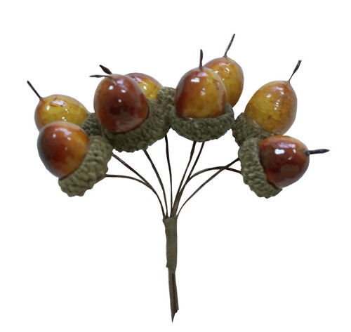 Желуди Hobby&You