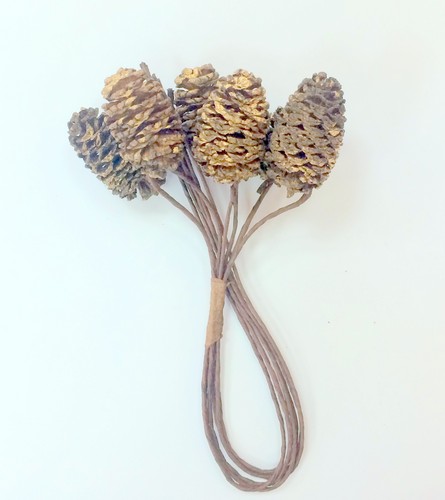 Шишечки с блестками Scrapberrys, золотистые