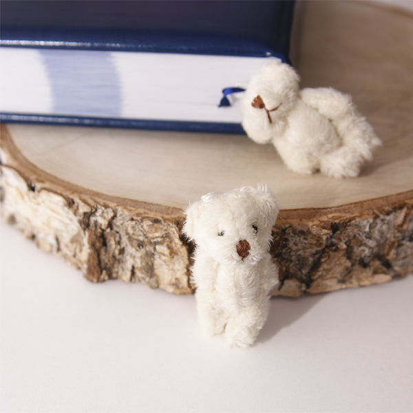 Украшение для альбома "Мишка пушистый", Цвет кремовый (520)