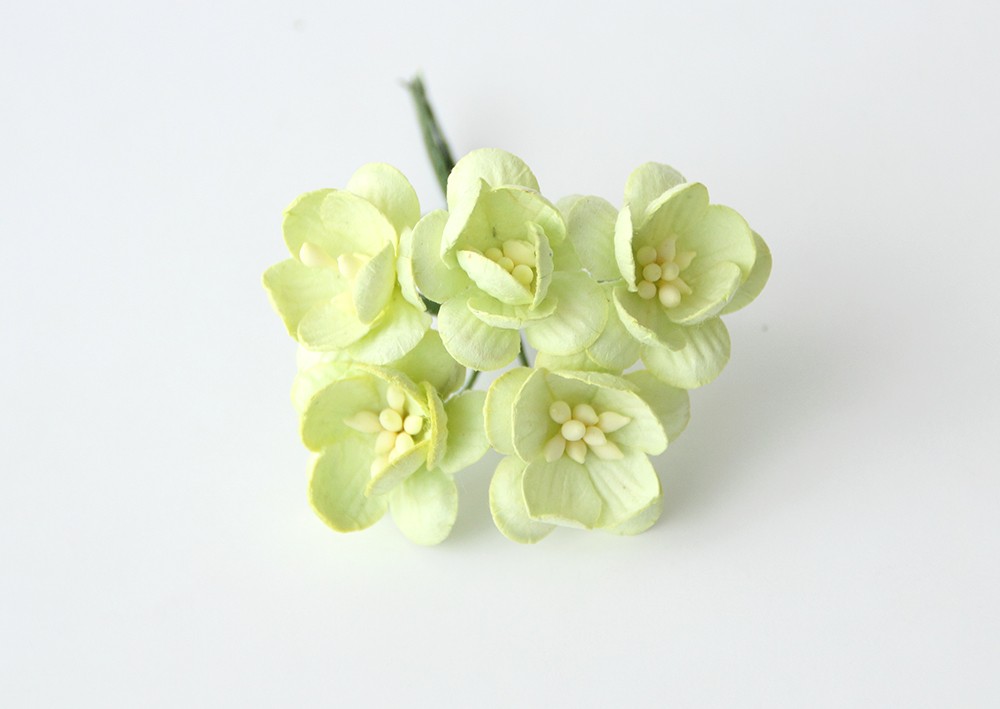 Букет "Цветы вишни 2,5 см" 5шт Светлый салатовый