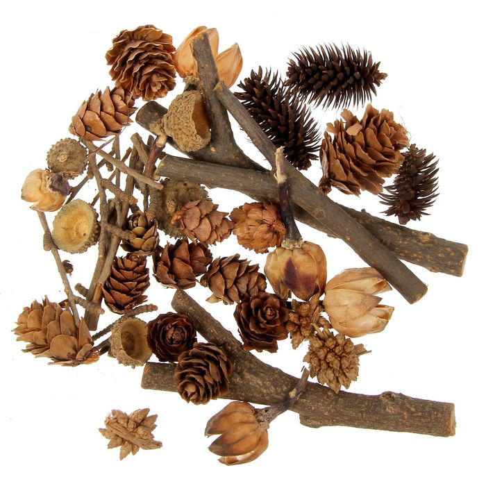 Набор природного материала для декора "Дары леса"
