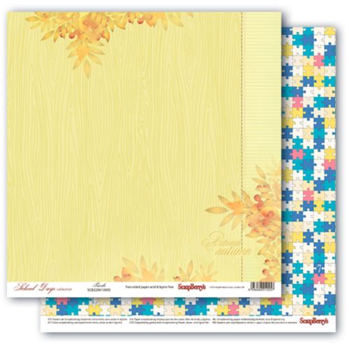 Бумага Scrapberrys "Школьная Пора" Головоломка (SB761)