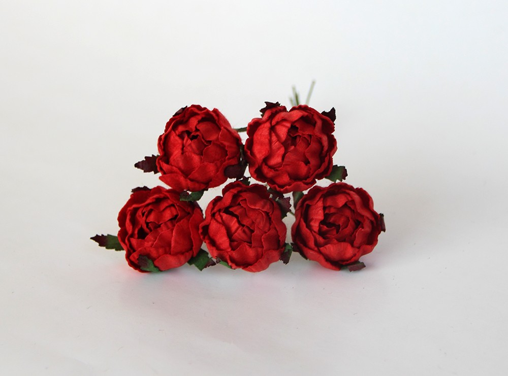 Букет ранункулюсов. Цвет красный