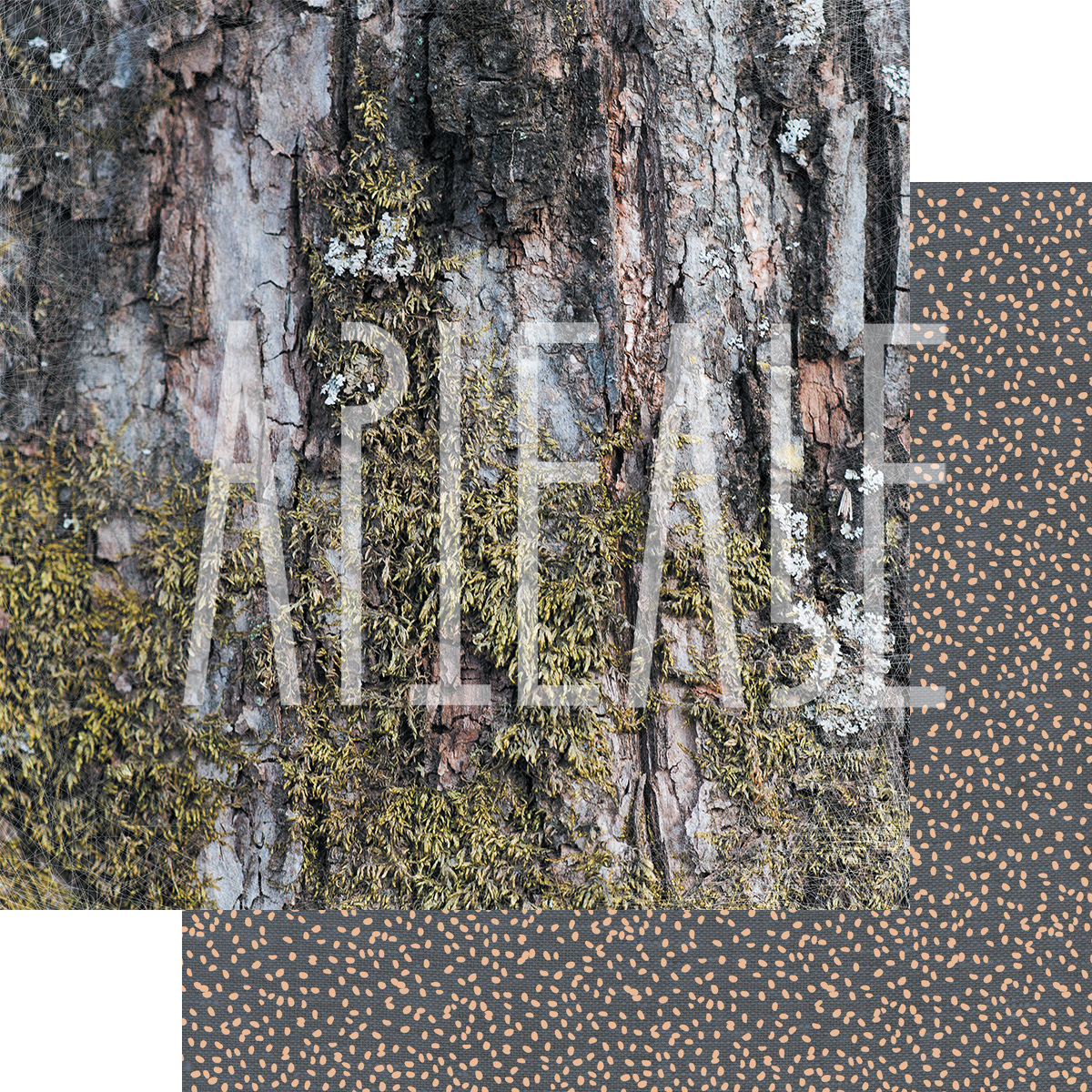 Бумага для скрапбукинга Артелье "ФОНОteka" Север здесь (ATL29)