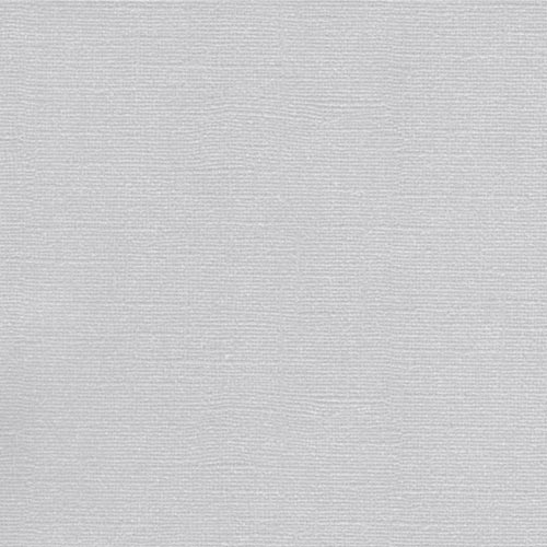 Фактурный картон Scrapberrys 30 х 30 см .Цвет дымка