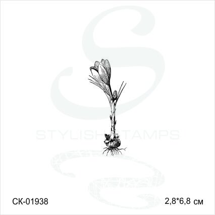 Штамп Stylish Stamps "Крокус с луковицей"