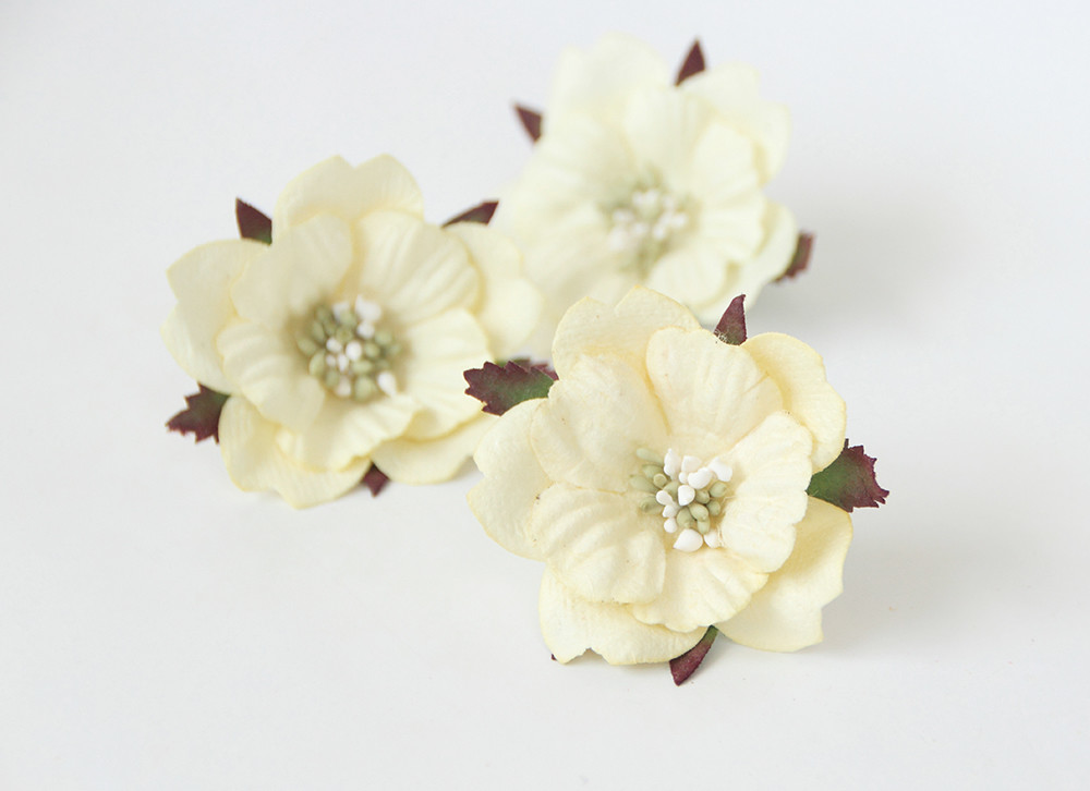 Цветок анемона, цвет бледный жёлтый, 1 шт