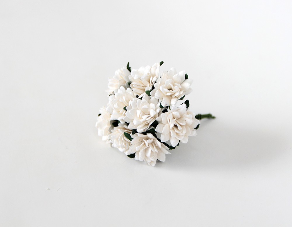 Букет астр, цвет белый