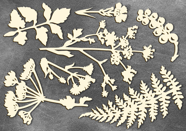 Чипборд Фабрика Декору "Botany summer"