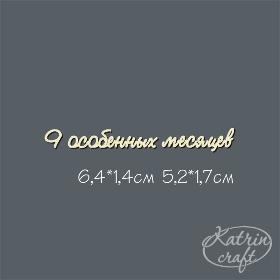 Чипборд "Надпись 9 особенных месяцев №1 мини"