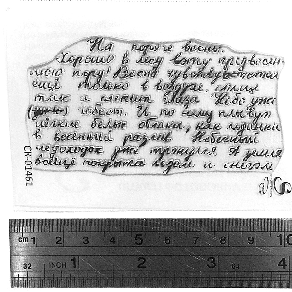 Штамп Stylish Stamps "Диктант "Весна""